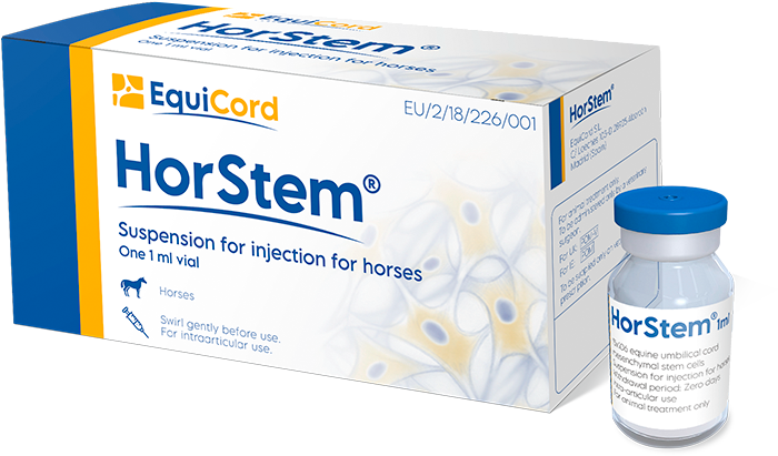 Equicord Terapias Avanzadas Veterinarias Equicord Terapias Avanzadas Veterinarias