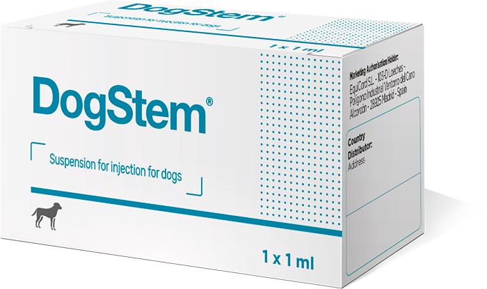 DogStem Equicord DogStem Equicord